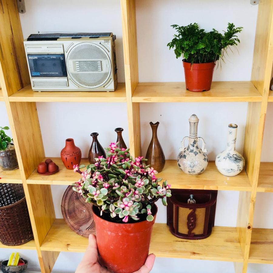 Lee'S Family Homestay Ханой Екстериор снимка